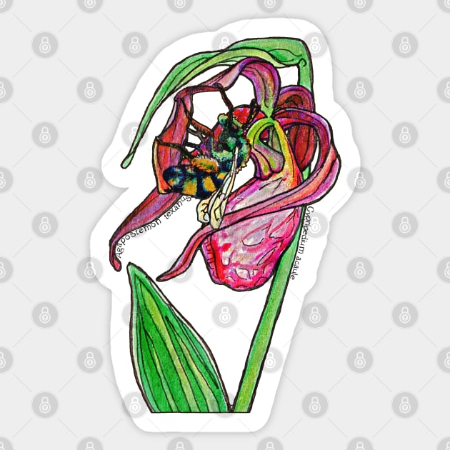 Pink Lady's Slipper Sticker by ThisIsNotAnImageOfLoss